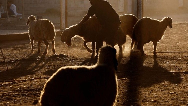 Schafshirten im Irak (Archivbild)