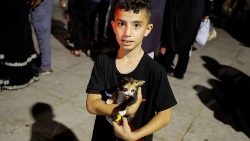 Nach der israelischen Militäroperation in Dschenin