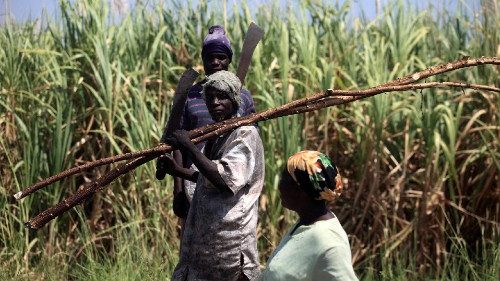 &Auml;thiopien: Afrikas Bisch&ouml;fe fordern mutige Klimaschutzma&szlig;nahmen