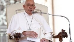 Pope Francis attends the weekly general audience at the Vatican