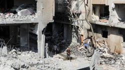 Strefa Gazy, 9 czerwca 2024