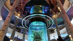 Beim Klimagipfel COP29 in Baku