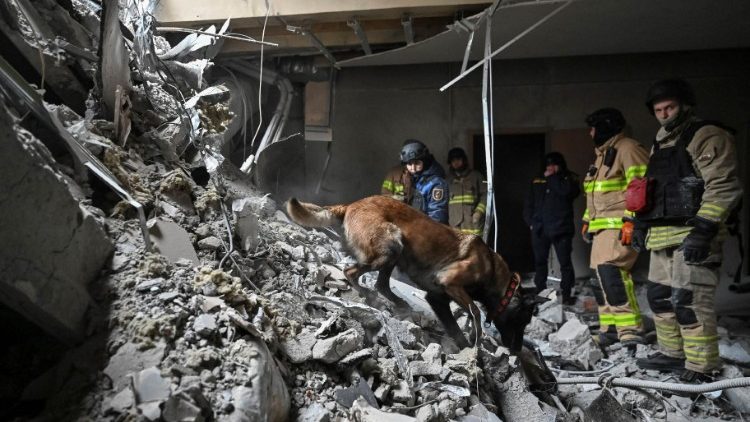 Equipes de resgate trabalham com um cão no local onde um prédio foi fortemente danificado pelo ataque de mísseis russos ontem, em meio ao ataque da Rússia à Ucrânia, em Zaporizhzhia, Ucrânia, em 11 de dezembro de 2024. REUTERS/Stringer