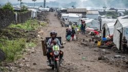 കോംഗോയിൽ നിന്നുള്ള ദയനീയമായ കാഴ്ച്ച 