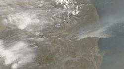 தென்கொரியா காட்டுத்தீ