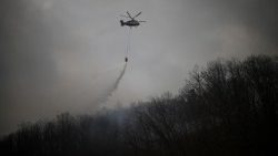 山火事の消火作業　2025年3月28日　韓国・キョンサン北道