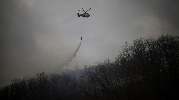 Löscharbeiten in Südkorea