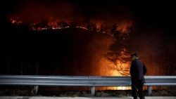 தென்கொரியாவின் காட்டுத் தீ