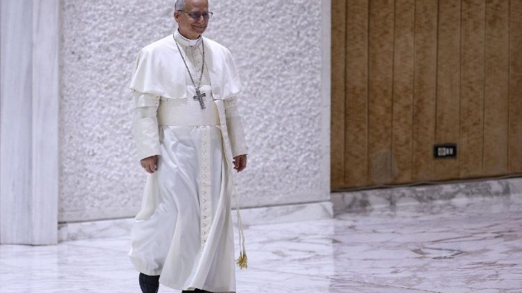 Papst Leo XIV. bei seiner Audienz für Medienvertreter am Montag  