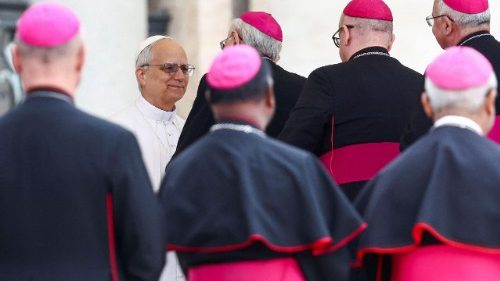 Папа і біскупы Германіі: асабістыя сустрэчы і дыялог