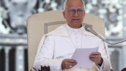 திருத்தந்தை 14-ஆம் லியோ