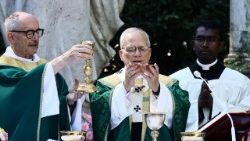 संत पापा लियो प्रकृति की सुरक्षा और देख-रेख का मिस्सा बलिदान अर्पित करते हुए