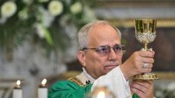 Папа падчас Імшы ў Кастэль Гандольфа