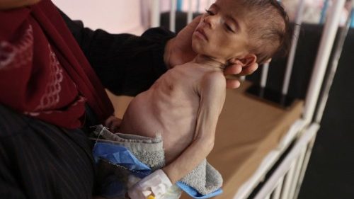 Deutsche Bischöfe fordern Zugang für Helfer im Gazastreifen