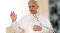 संत पापा लियो 14वें 