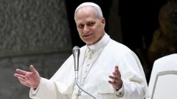 திருத்தந்தை பதினான்காம் லியோ.