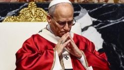 Імша за Папу Францішка, кардыналаў і біскупаў, памерлых цягам года