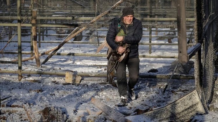  Um funcion&aacute;rio resgata um pav&atilde;o em um zool&oacute;gico particular atingido por um ataque a&eacute;reo russo, em meio ao ataque da R&uacute;ssia &agrave; Ucr&acirc;nia, perto de Kharkiv, Ucr&acirc;nia, em 1&ordm; de janeiro de 2026. REUTERS/Sofia Gatilova