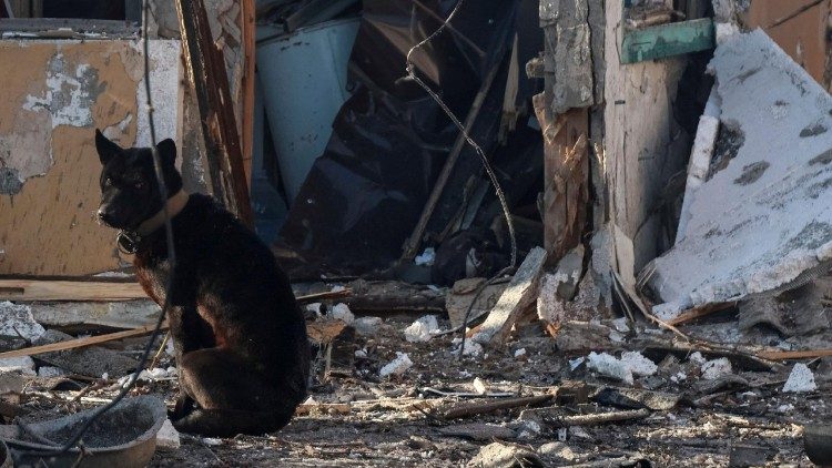 Um c&atilde;o ferido permanece sentado no local do ataque de drone russo, em meio ao ataque da R&uacute;ssia &agrave; Ucr&acirc;nia, perto da cidade de Chornomorsk, regi&atilde;o de Odessa, Ucr&acirc;nia, em 21 de janeiro de 2026. REUTERS/Nina Liashonok