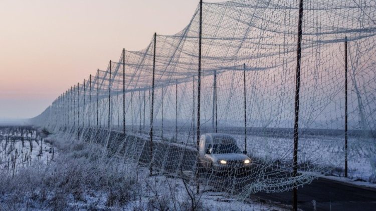 Um carro trafega por uma estrada coberta por uma rede antidrone, em meio ao ataque da R&uacute;ssia &agrave; Ucr&acirc;nia, na regi&atilde;o de Kharkiv, Ucr&acirc;nia, em 21 de janeiro de 2026. REUTERS/Serhii Korovainyi