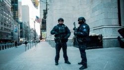 Паліцэйскія Нью-Ёрка ля архікатэдры святога Патрыка