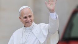 पोप लियो 14वें 