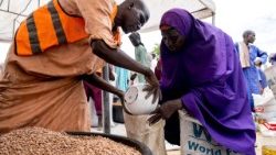 Distribución de ayuda del Programa Mundial de Alimentos en el estado de Borno, Nigeria. 