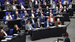 Die AfD-Fraktion im deutschen Bundestag