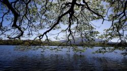 Ein See in El Salvador