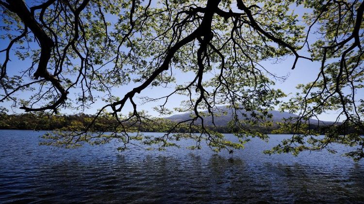 Ein See in El Salvador