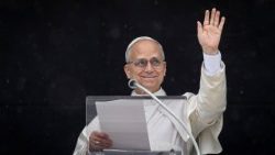 ലിയോ പതിനാലാമൻ പാപ്പാ