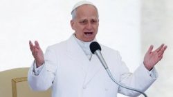 Pope Leo XIV holds general audience at the Vatican