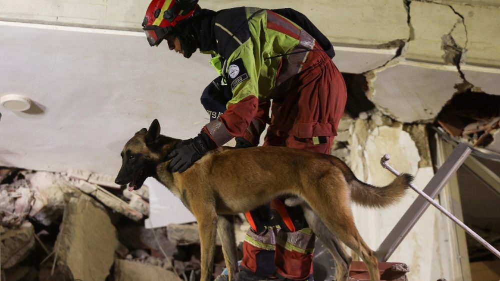 Um socorrista trabalha com um cão de busca e resgate no local de um prédio que desabou após os terremotos de 24 de junho em La Guaira, Venezuela, em 1º de julho de 2026. REUTERS/Ricardo Arduengo