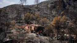 Aftermath of wildfires in Almeria