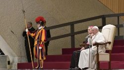 2018.12.12 Udienza Generale