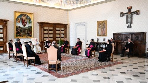 Audience générale du 25 novembre 2020