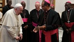 Bischöfe 2023 beim Papst - in der Bildmitte ist Bischof Happe zu sehen