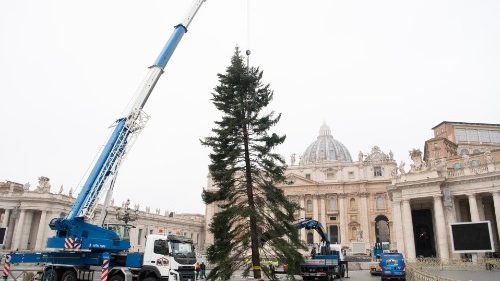 Natal no Vaticano: pres&eacute;pio da Camp&acirc;nia e &aacute;rvore da prov&iacute;ncia de Bolzano