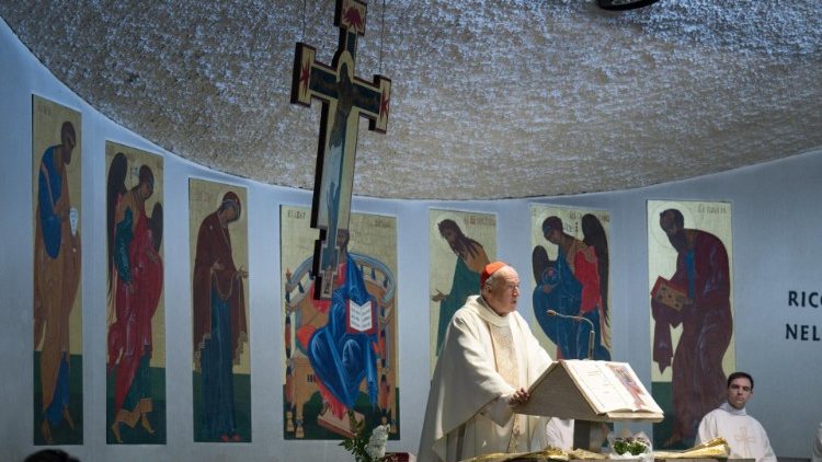 Le cardinal Robert McElroy
