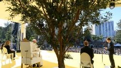 Katekesi zinazoendeshwa na Makardinali pamoja na Maaskofu kwa ajili ya vijana hususan: Ekolojia, Udugu na Urafiki wa Kijamii pamoja na Huruma ya Mungu. 