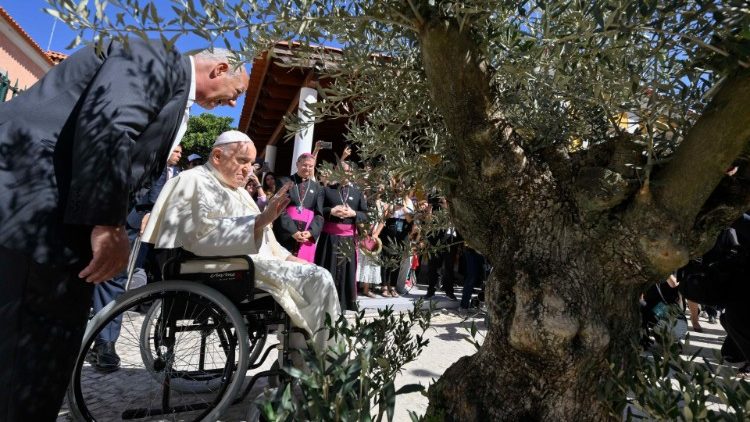 Zasazení olivovníku, symbolu míru