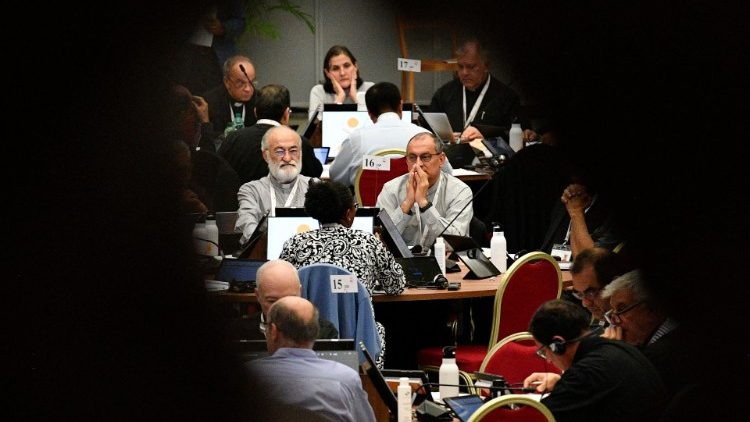 Ze synodního jednání