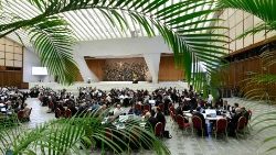 2023.10.26 Circoli Minori