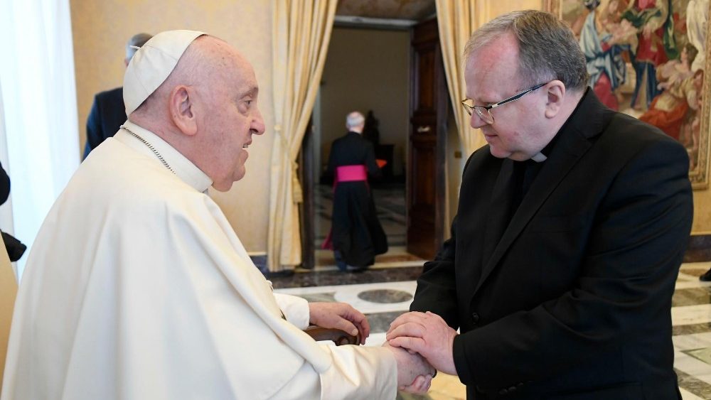 Аўдыенцыя для членаў Папскага камітэта гістарычных навук