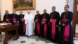 ഫ്രാൻസിസ് പാപ്പാ സീറോ മലബാർ സഭാ സ്ഥിരം സിനഡിനെ വത്തിക്കാനിൽ സ്വീകരിച്ചപ്പോൾ - ഫയൽ ചിത്രം