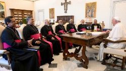 സീറോ മലബാർ സഭയിൽനിന്നുള്ള ഏതാനും മെത്രാന്മാർക്ക് ഫ്രാൻസിസ് പാപ്പാ കൂടിക്കാഴ്ച്ച അനുവദിച്ചപ്പോൾ - ഫയൽ ചിത്രം