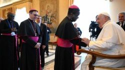 Pope meeting the Directors of the Pontifical Missionary Societies in the Clementine Hall