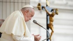ഫ്രാൻസിസ് പാപ്പാ പൊതുകൂടിക്കാഴ്‌ചയാവേളയിൽ