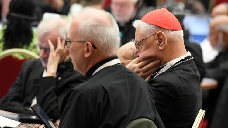 Робоче засідання Синоду