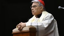 Semeraro bíboros-prefektus: nagyon sok eljárás van folyamatban   